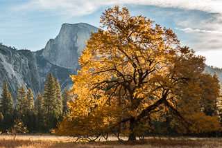 Yosemite_DL_20121103_DSC0933.jpg
