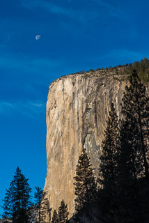Yosemite_DL_20121103_DSC0984.jpg