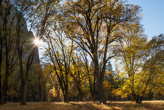Yosemite_DL_20121103_DSC1056.jpg