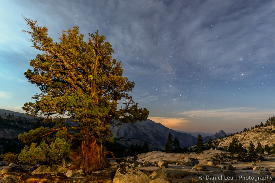 Stary Sky in Yosemite