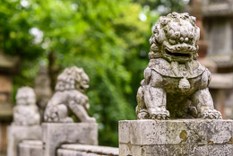 DL_20140420_DSC4868_Guiyang_China_Qianling_Park.jpg DL_20140420_DSC4868_Guiyang_China_Qianling_Park.jpg