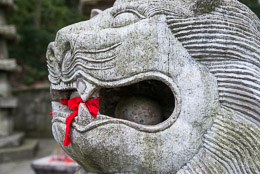 DL_20140420_DSC4880_Guiyang_China_Qianling_Park.jpg DL_20140420_DSC4880_Guiyang_China_Qianling_Park.jpg