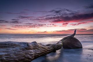 The Log on the Bowling Ball DL_20180922_DSC3351-California-Bowling-Ball-Beach.jpg