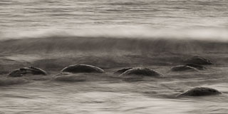 Submerged Bowling Balls #4 DL_20180923_DSC3625-California-Bowling-Ball-Beach.jpg