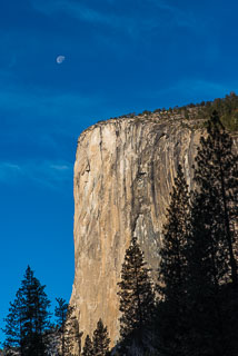 Yosemite_DL_20121103_DSC0984.jpg